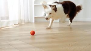 Mainan Hewan Peliharaan Anjing & Kucing Bola Listrik Bergulir Bola Hewan Peliharaan Cerdas Bola Mainan Hewan Peliharaan