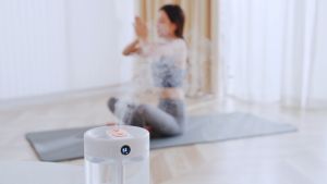 TAIDU Máy Tạo Độ Ẩm Phun Kép 2L Máy Tạo Độ Ẩm Màn Hình Kỹ Thuật Số Đèn Ngủ Văn Phòng Phòng Phòng Ngủ Tại Nhà Dung Tích Lớn Usb