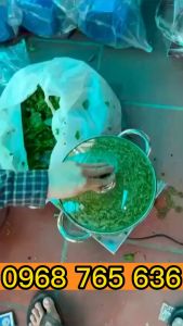 Máy xay giò chả máy xay gia vị tỏi ớt 1100Wv- Bảo hành 12 tháng