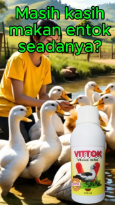 VITTOK – Vitamin Alami untuk Entok dan Ternak Sehat & Produktif / penggemuk entok berdaging padat