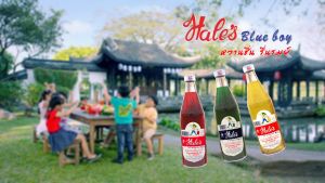 Hales Blue Boy SALA Concentrated Flavoured Syrup 710ml