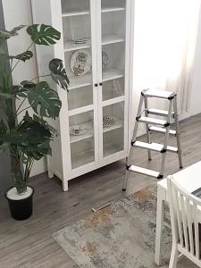 Strengthened Multifunctional Folding Ladder