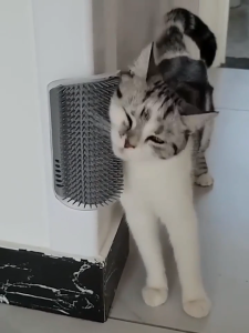 หวีดูดขนแมว หวี่ขนแมว รุ่นติดมุม ให้แมวเข้าไปถู สำหรับน้องแมวถู สะดวกสบาย หวีขนสุนัข แปรงนวดแมว ที่นวดแมวแปรงขนแมว หวีแมว ของเล่นแมว หวีดูดขนแมว หวี่ขนแมว รุ่นติดมุม ให้แมวเข้าไปถู แปรงนวดขนแมว