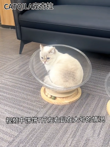 Cat Dome Space Pit บ้านแมว ของเล่นแมว ที่นอนอวกาศ แผ่นเสียงไม้เนื้อแข็งอะคริลิค รังแมว 2in1 แคปซูล พื้นที่แมว