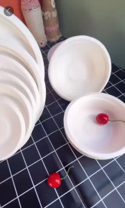 【HOT】(50 pcs) 7 9 10 inches Sugarcane Bagasse Round Plate