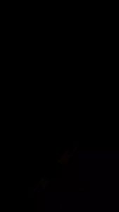 1Set Kunci Pintu Rumah Ukuran Besar Gagang Bulat Bintik/ handle pintu 1Set Produk ASLI HARLOCK KUNCI