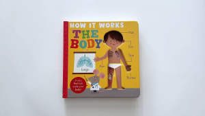 Little Tiger: How It Works Book Series