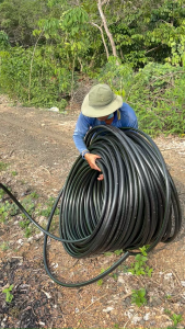 (BH 5 năm) Cuộn 200m ống dây tưới LDPE Nguyễn Tân 25mm | Ống chuyên dụng cho hệ thống tưới tự động