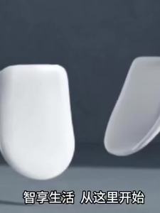 Automatic Flip Drying Instant Heating Wash Smart Toilet Seat