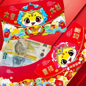 4pcs/pack Chinese AmpaoCartoon Lucky BagHorizontal childrens red envelopeChinese New Year red envelopesBirthday Angpao