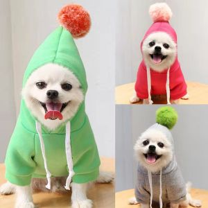 Pet Clothes Teddy Cat Puppy Bichon Pomeranian Schnauzer Yorkie Small Dog Sweatsuit with Ball Pattern Normal Size Casual Style