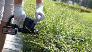 เครื่องตัดแต่งพุ่มไม้ไร้สาย 20V ความยาวการตัด 15นิ้ว ยี่ห้อ OSUKA รุ่น OCHT436-M1 (รับประกัน 6เดือน)