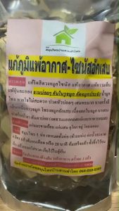 สมุนไพร แก้ภูมิแพ้อากาศ-ไซนัสอักเสบ แพ้ฝุ่น คันในรูจมูก คันตา ปวดหัวบ่อยๆ สมูนไพรต้ม ‼️ปริมาณเพิ่มขึ้น 2 เท่า ขนาด 400-500 กรัม