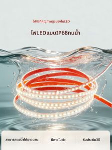 SHUOYU | IP68 Waterproof LED Light Strip 24V