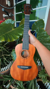 INITER High Quality 23/26inch All solid mahogany ukulele Concert/Tenor ukelele Iuc810
