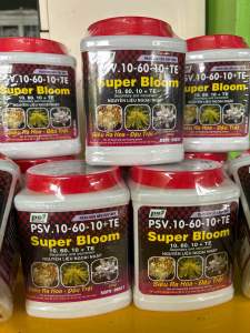 Phân bón lá Chuyên TẠO MẦM HOA 10 60 10 TE Super Bloom hộp 500g