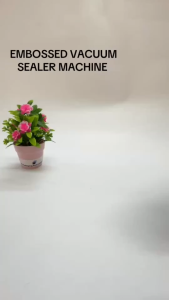 Tefal Vacuum Sealer Machine Automatic Food Sealer Kitchen Packaging Vacuum Bag Mesin Vacum Makanan