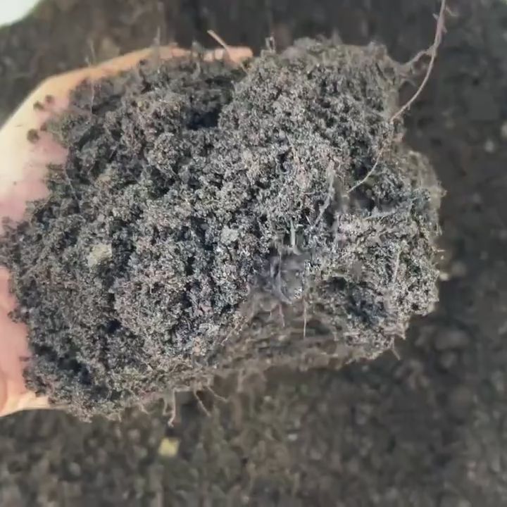 ดินผสมใบก้ามปูสูตรขี้วัวบด 5 ถุง ดินปลูกพร้อมใช้