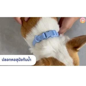 ปลอกคอสุนัขกันน้ำ ปลอกคอสุนัข ปลอกคอPVCรุ่นเหนียวทนกันน้ำไม่ขึ้นสนิม C046