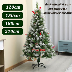 รุ่นลิมิเต็ด1.2/1.5/1.8/2.1เมตร มาพร้อม เครื่องแต่งต้นคริสต์มาส ลูกสน และลูกบอลสีแดง ต้นคริสต์มาสประดับตกแต่งสำเร็จรูป ถอดเก็บได้ ต้นไม้ประกอบ ต้นคริสต์มาส ต้นไม้ปลอม ต้นคริสต์มาสปลอม ต้นคริสมาสต์ คริสต์มาส ของตกแต่ง ต้นไม้เทศกาลคริสต์มาส Christmas Tree