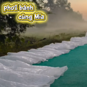 Bánh Tráng Trộn Hành Phi Phơi Sương Tây Ninh 200g Dẻo Muối Nhuyễn Tặng 60g Hành Phi Mẹ Mía