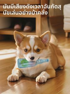 ของเล่นสุนัขยางฟองน้ำลอยตัวที่ทำเสียงได้พร้อมฟัน ของเล่นเพื่อสุขภาพที่แข็งแรงสำหรับสุนัขขนาดใหญ่และขนาดเล็ก