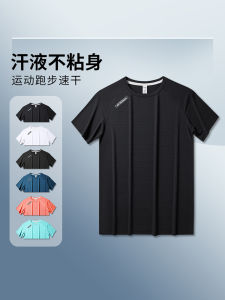 Mens Sport T-Shirt Ice Silk Quick Dry Short Sleeve Running Basketball Training Clothes Breathable Moisture Wicking round Neck