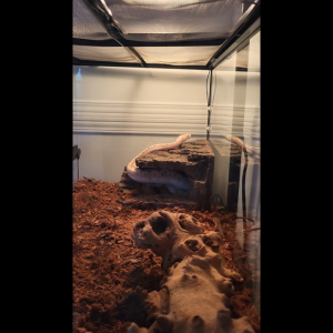 Basking Platform 27x24x17.5cm Reptile Hideout Cave Terrarium Turtle Tortoise Lizard Snake Bearded Dragon Gecko GT012XL