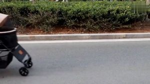 SKISOPGO รถเข็นสุนัข รถเข็นสุนัขและแมว พับเก็บได้ ใช้งานง่าย รถเข็นสัตว์เลี้ยง รถเข็นสุนัข รถเข็นสัตว์ 4 ล้อ