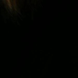 Evos x Tendencies T-Shirt Evosten Black