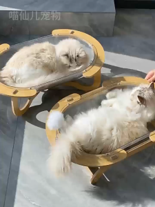 โพรงแมวโปร่งใสแบบมินิมอล ขนาดใหญ่สุดพรีเมียม นอนสบายแมวหนัก 10 กิโลขึ้นไป กันน้ำได้ ระบายอากาศดี แถมลูกบอลเล่น ฐานไม้แข็งแรง ดูแลง่าย ไร้เงื่อนไข