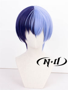 ND ปลอมผมคอสเพลย์ ปลอมผมรูปตัวละคร ช่วงฤดูหนาวของ Nishimura ที่สดใสและสุดสง่างามสำหรับผู้ชายและผู้หญิง