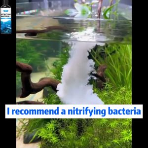✨Fish Savior✨: Nitrifying Bacteria for Aquarium 300ml