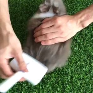 [COD]Sisir Sikat Slicker Bulu Rambut Anjing Kucing Pet Brush Comb Grooming | pembersih bulu kucing | sisir bulu kucing