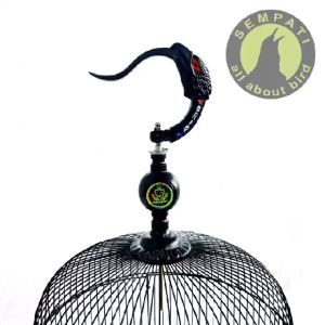 SEMPATI Gantungan Sangkar Fullset Plus Pion Motif Naga Garuda Ular Oriq Jaya Cantolan Kandang Burung Murai Kotak Lovebird Branjangan GLBGHT