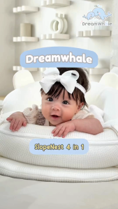ที่นอนรังนก Nest 4in1 หายใจผ่านได้ ที่นอนเด็กแรกเกิด แถมมุ้ง แถมโมบายครบเซต ปลอดภัย ซักได้ พกพาได้ สำหรับแรกเกิดถึง 2 ขวบ แบรนด์ DreamWhale