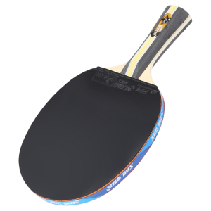 DHS | Professional Ping Pong Paddle for Beginners to Professionals