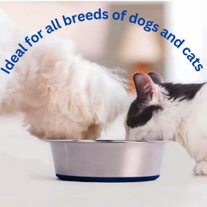 Stainless Steel Dog Cat Feeding Bowls Plate Bowls with Non-Slip Rubber Bases | Pet Feeder Bowls