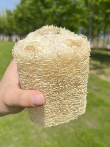 Natural Gourd Scrubber Dishcloth Magic Cleaning Tool White Spotless Pot Scrubber Eco-Friendly Kitchen Essential Bowl Cleaner