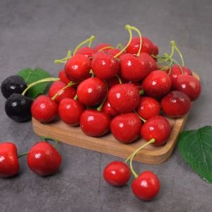 10 Pcs Ceri Palsu Buah Cherry Artificial Foam Buah Cherry Artificial Ceri Plastik Properti Foto Dekorasi Rumah Unik Modern Serbaguna