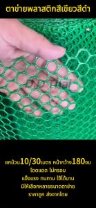 (ยกม้วน 10/20/30 เมตร) ตาข่ายพลาสติกสีดำ สีเขียว ตาข่ายPVC ตาข่ายรองหินจัดสวน ตะแกรงพลาสติก 6เหลี่ยม ตาข่ายล้อมรั้ว ตาข่ายทำกรงสัตว์เลี้ยง หน้ากว้าง 90 เซน