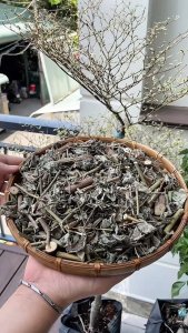 500g Ké Hoa Đào Loại 1 Đức Thiện (Khô Sạch Thơm) - Bướu Giáp Bướu Cổ Thận Tiêu Hóa Kém Đau Nhức Xương Khớp
