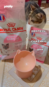 Hạt Cho Mèo Mẹ & Mèo Con Royal Canin Mother & Babycat