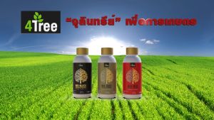 สำหรับคำถาม "โฟร์ทรี อะมิโนพืช เพื่อการเกษตร ส่งเสริมผลผลิตทางการเกษตรให้มีคุณภาพ