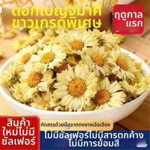 Trà Cúc Hoa Trắng Hàng Châu Cao Cấp 500g
