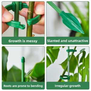MONLEYTA | Climbing Support Frame for Plants