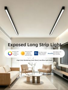 SAINAHEPAN | Linear Minimalist Surface Mount Ceiling Light