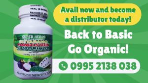 ORGANIC FOOD SUPPLEMENT SUPERHERBS - 3 IN 1 GUYABANO MANGOSTEEN MORINGA 100 CAPSULE 500MG