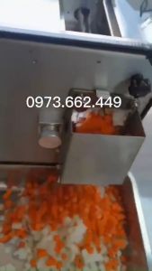 Máy thái hạt lựu trái cây củ quả xúc xích hạt lựu nhanh và đều đẹp