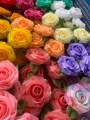 โปรยทานดอกกุหลาบโลลิตา 20(ดอก)คละสี. 
